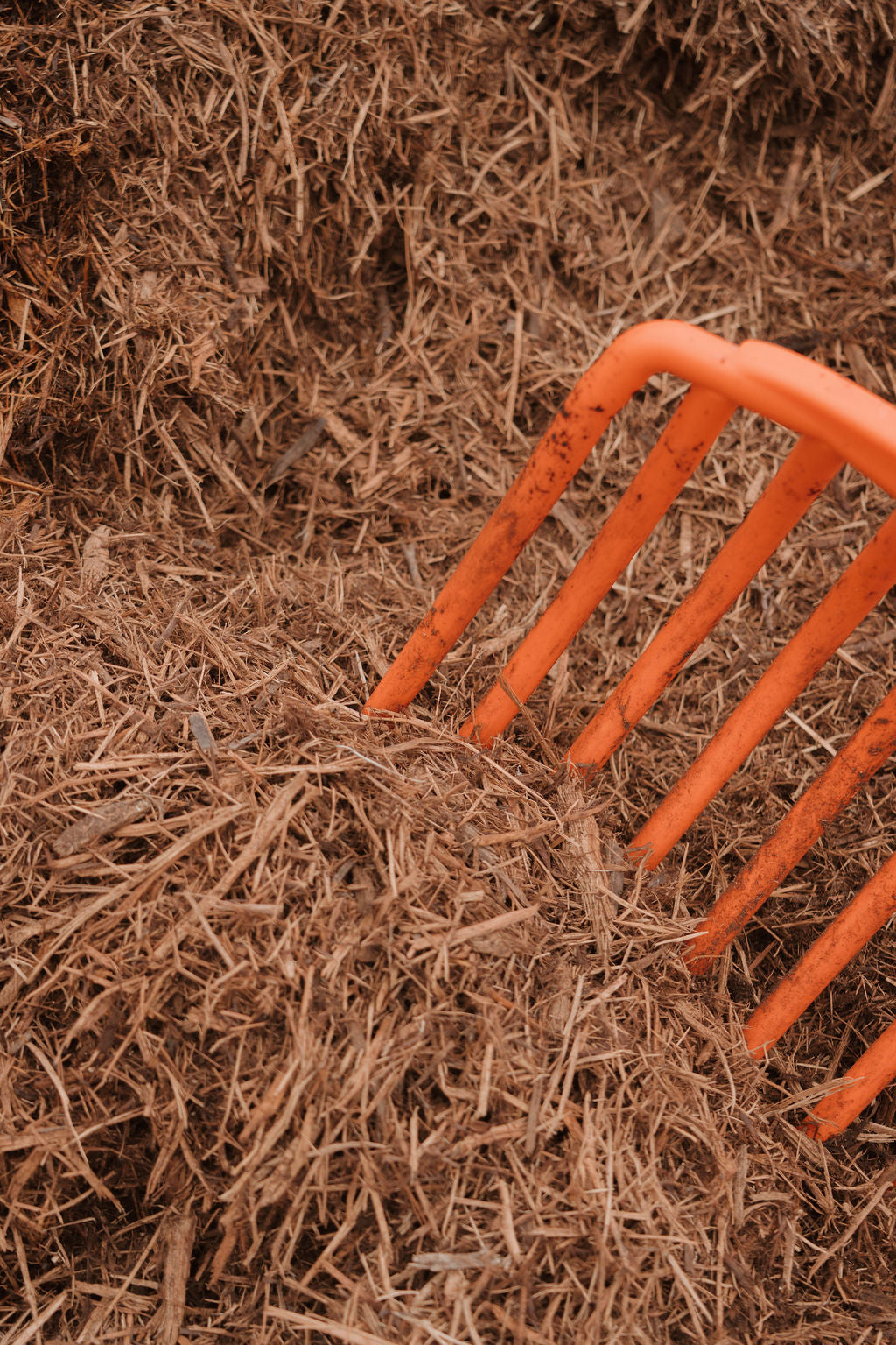 Clean Mulch, Healthy Yards: Why Quality Mulch Matters in Houston