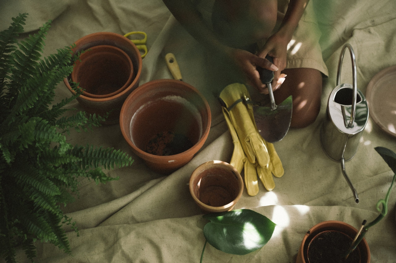 Fall Into Healthier Gardens