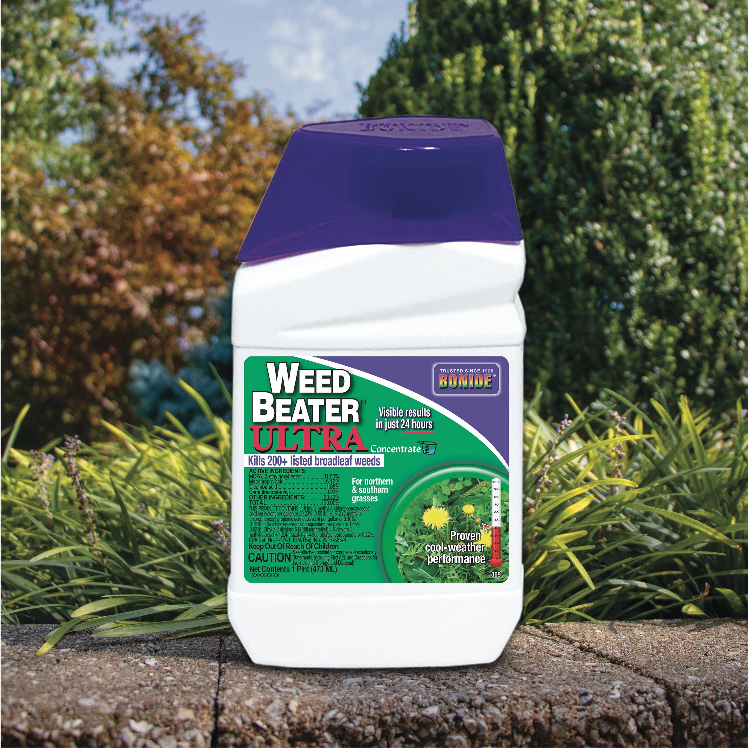 Weed Beater Ultra Conc