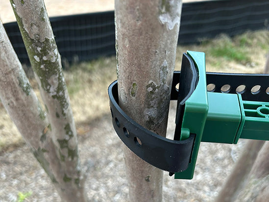 360 Tree Stabilizer