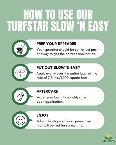 Slow 'n Easy