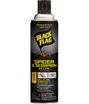 Black Flag Spider & Scorpion Killer Aerosol