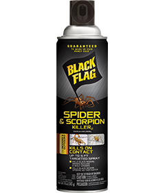 Black Flag Spider & Scorpion Killer Aerosol