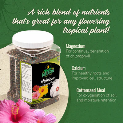 Hibiscus & Flowering Tropicals