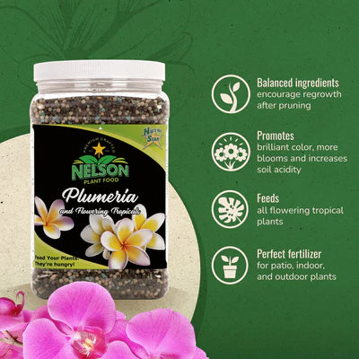 Plumeria & All Flowering Tropicals