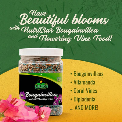 Bougainvillea & All Flowering Vines