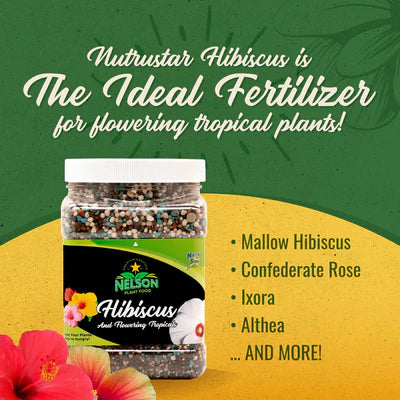 Hibiscus & Flowering Tropicals