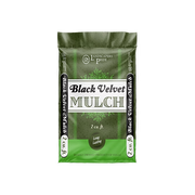 Black Velvet Bag