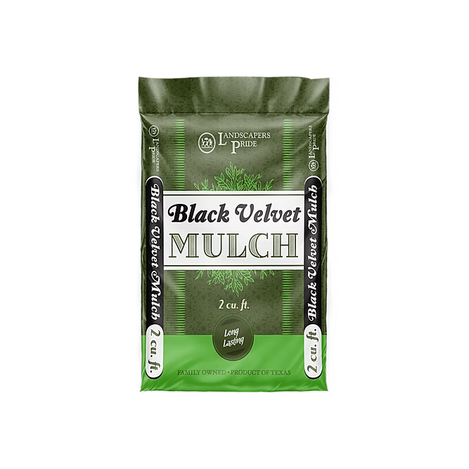 Black Velvet Bag