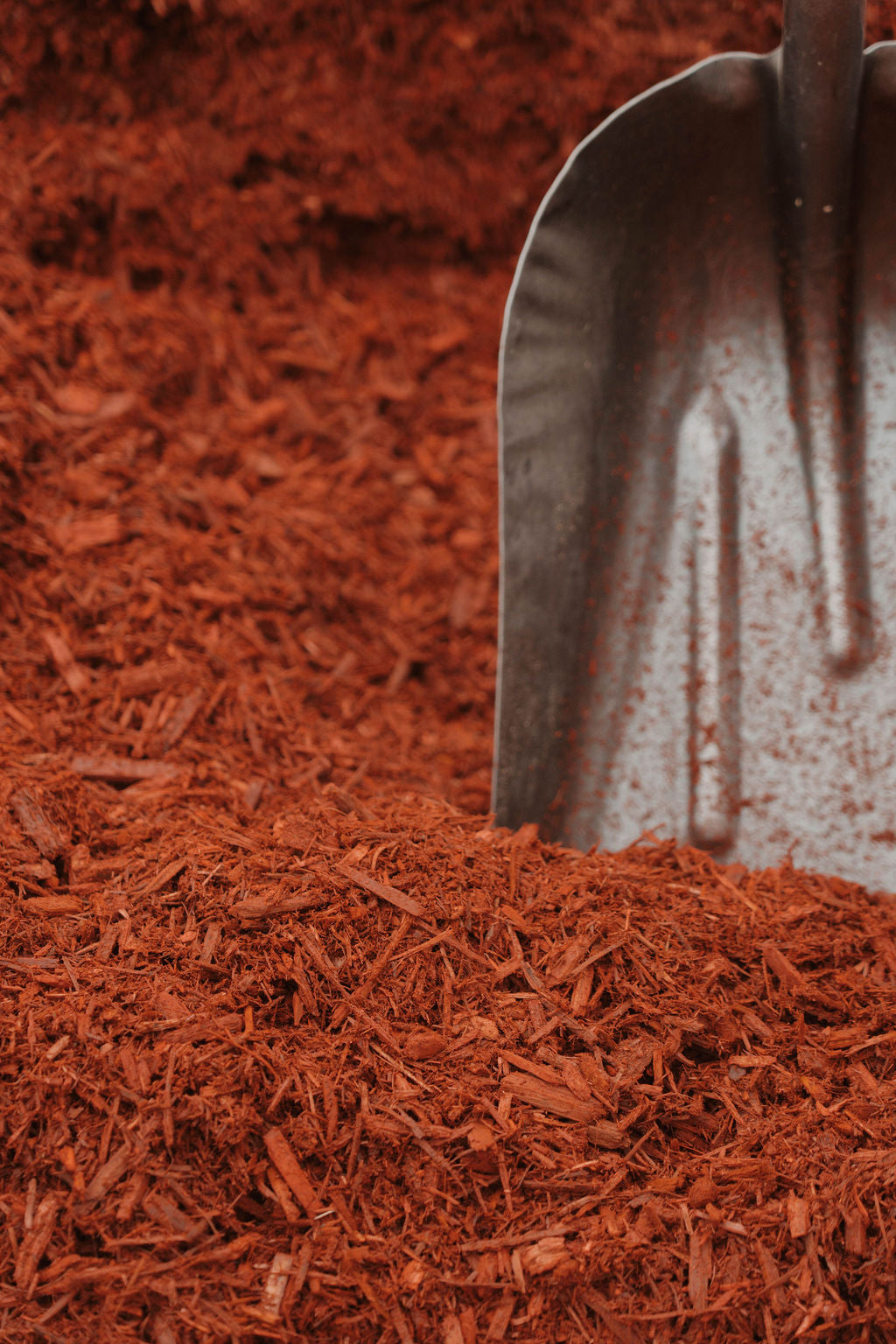 Red Mulch