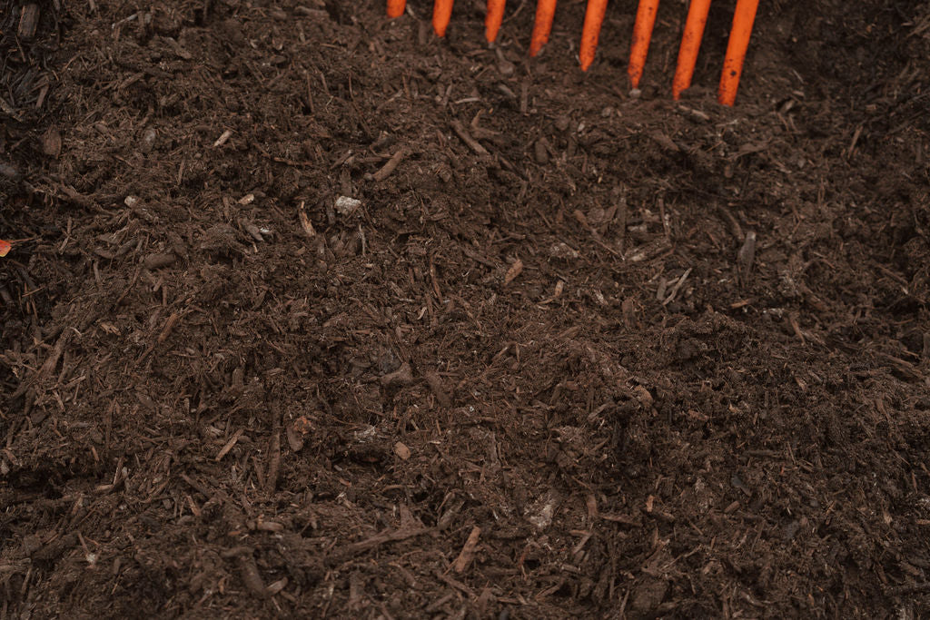Black Velvet Mulch