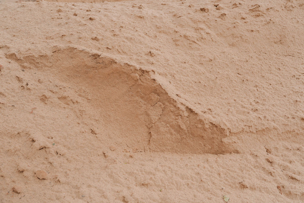 Bank Sand