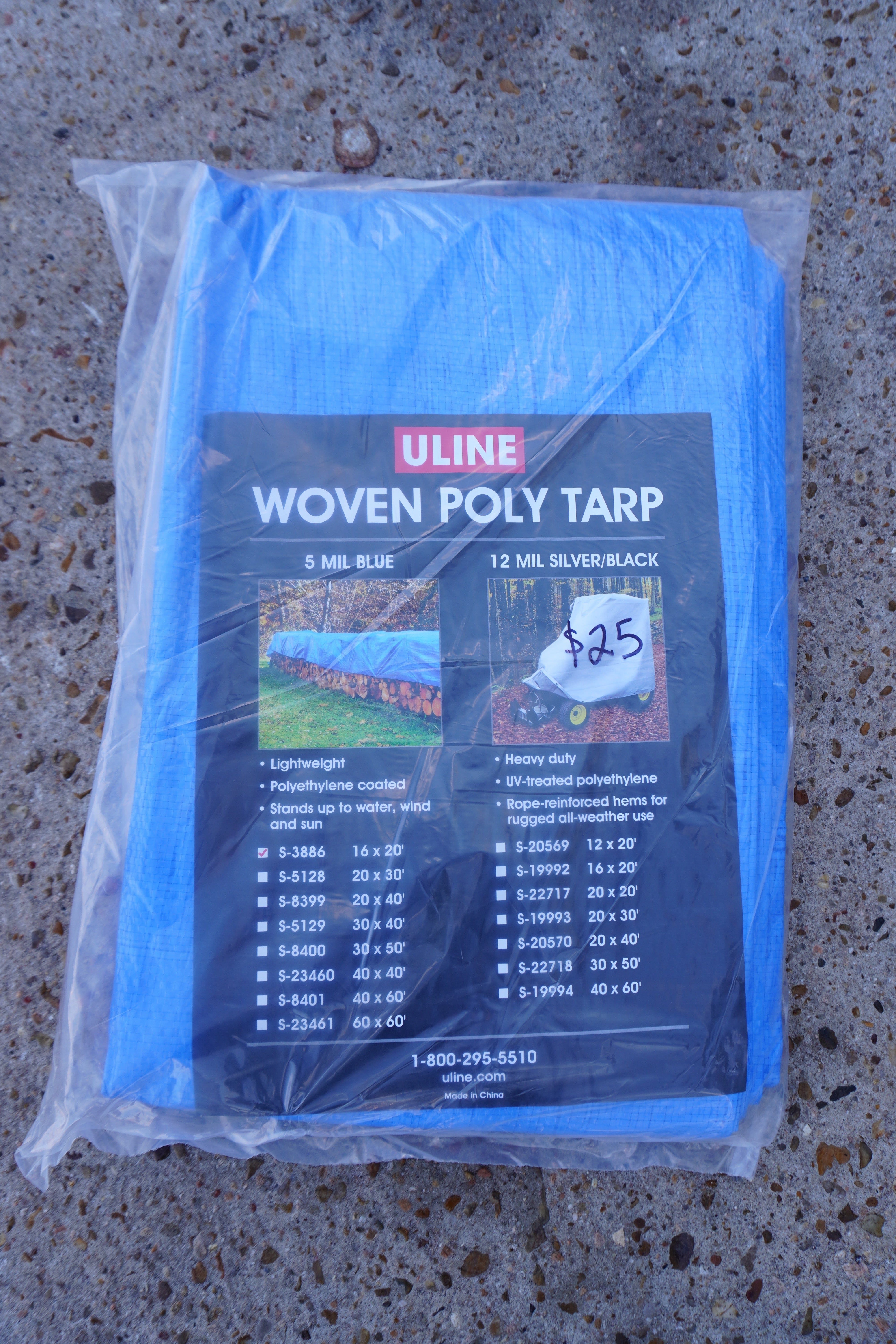 Tarp