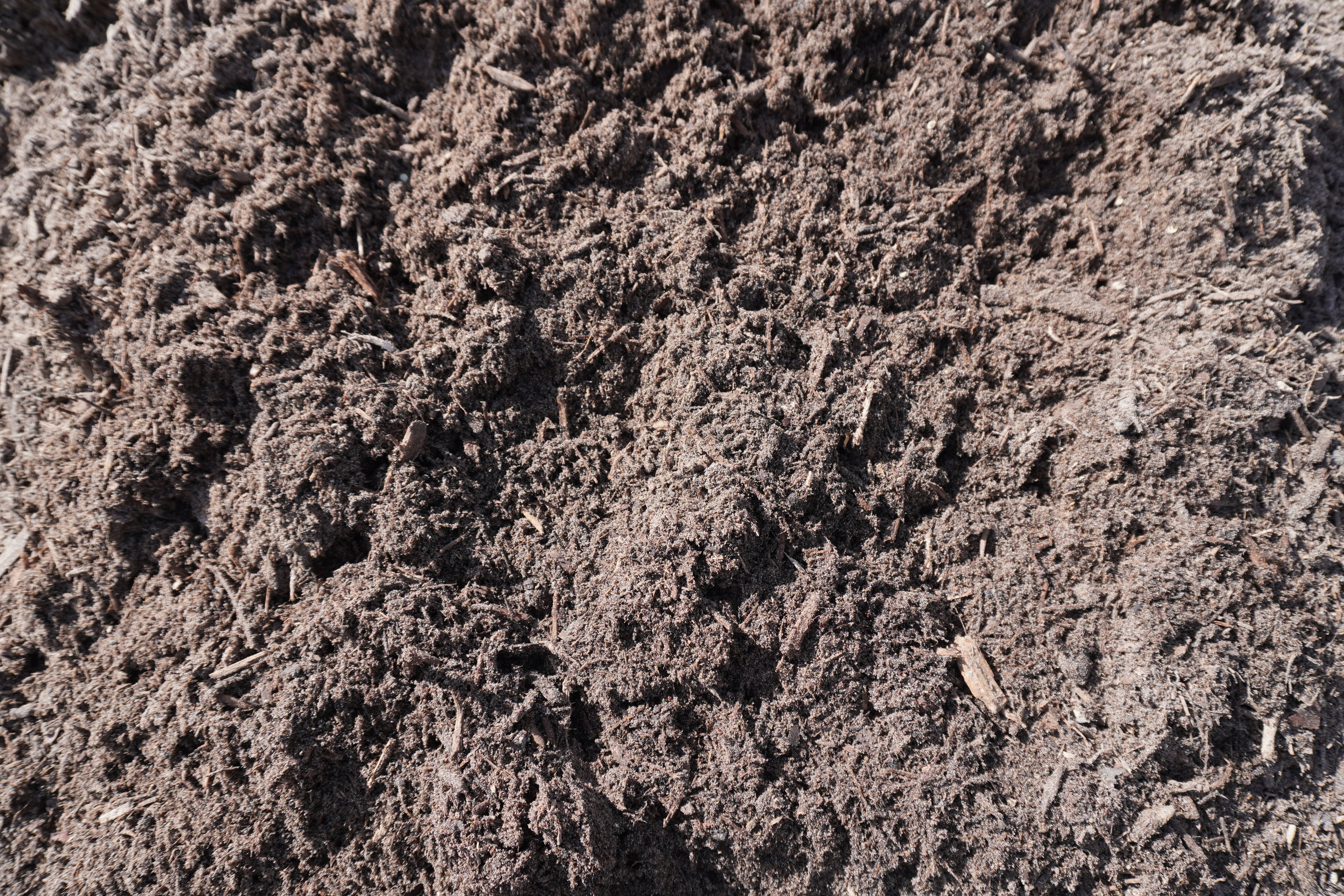 Rose Soil