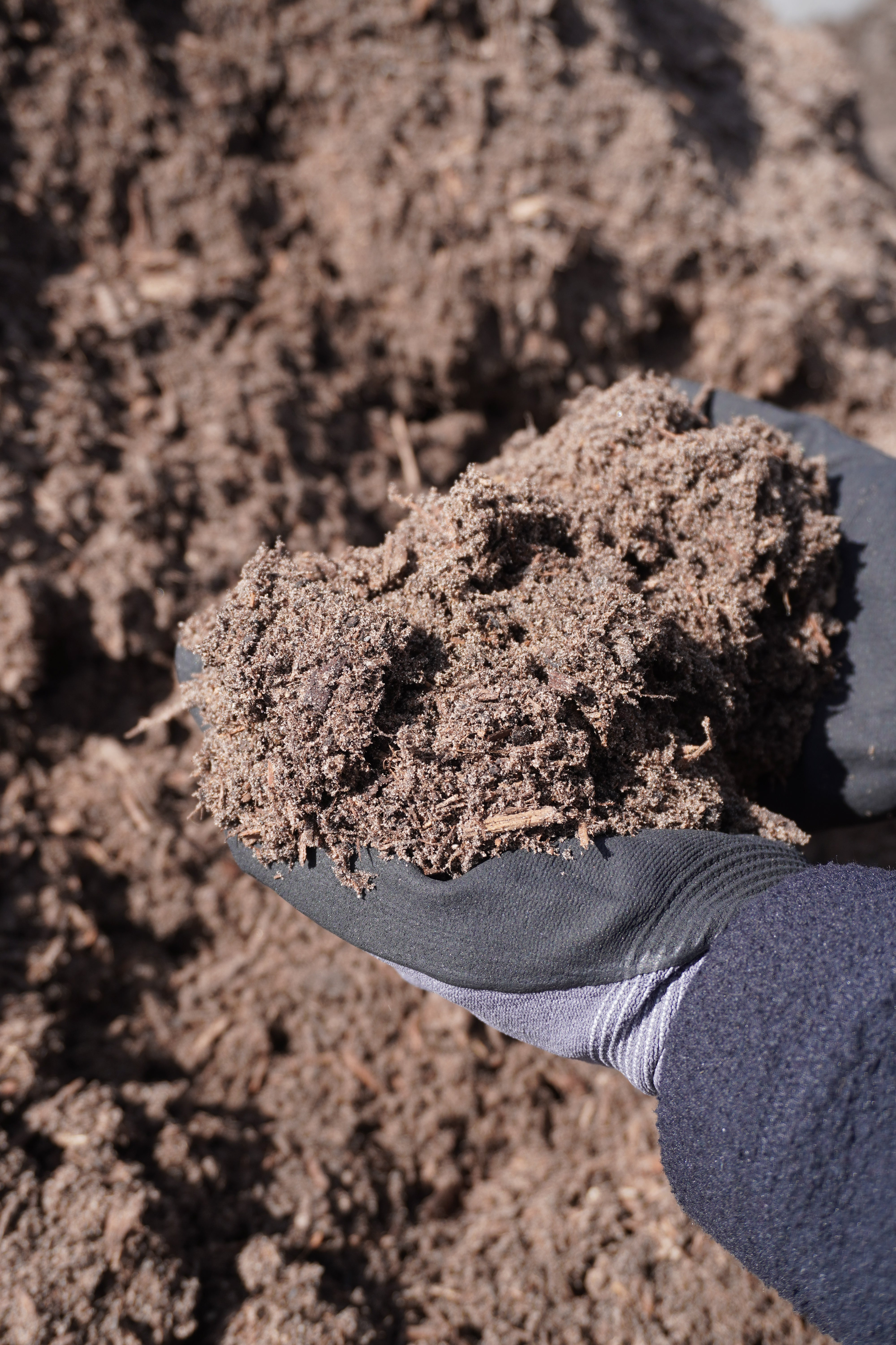 Rose Soil