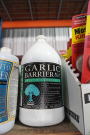 Garlic Insect Repellent