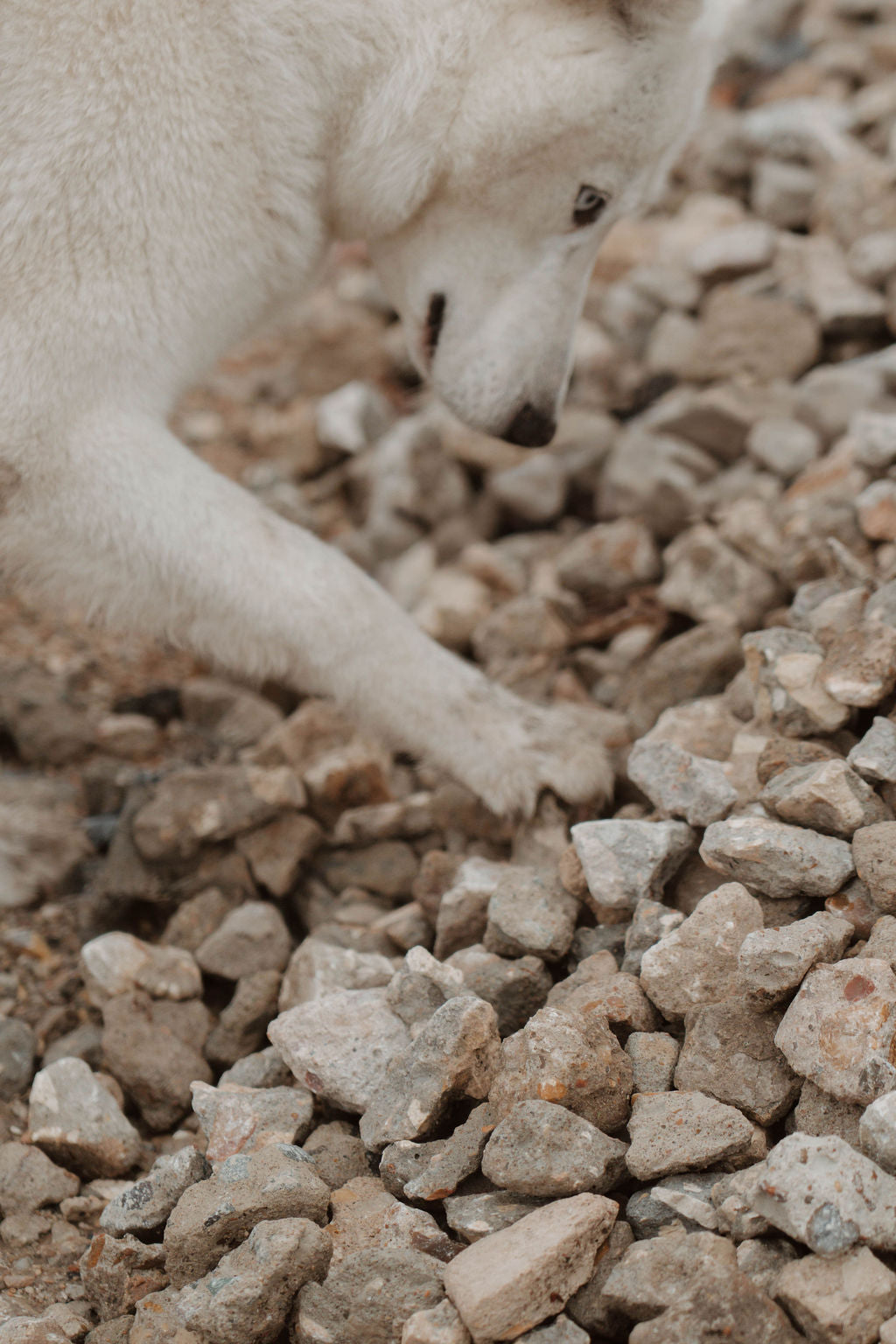 Crushed Concrete