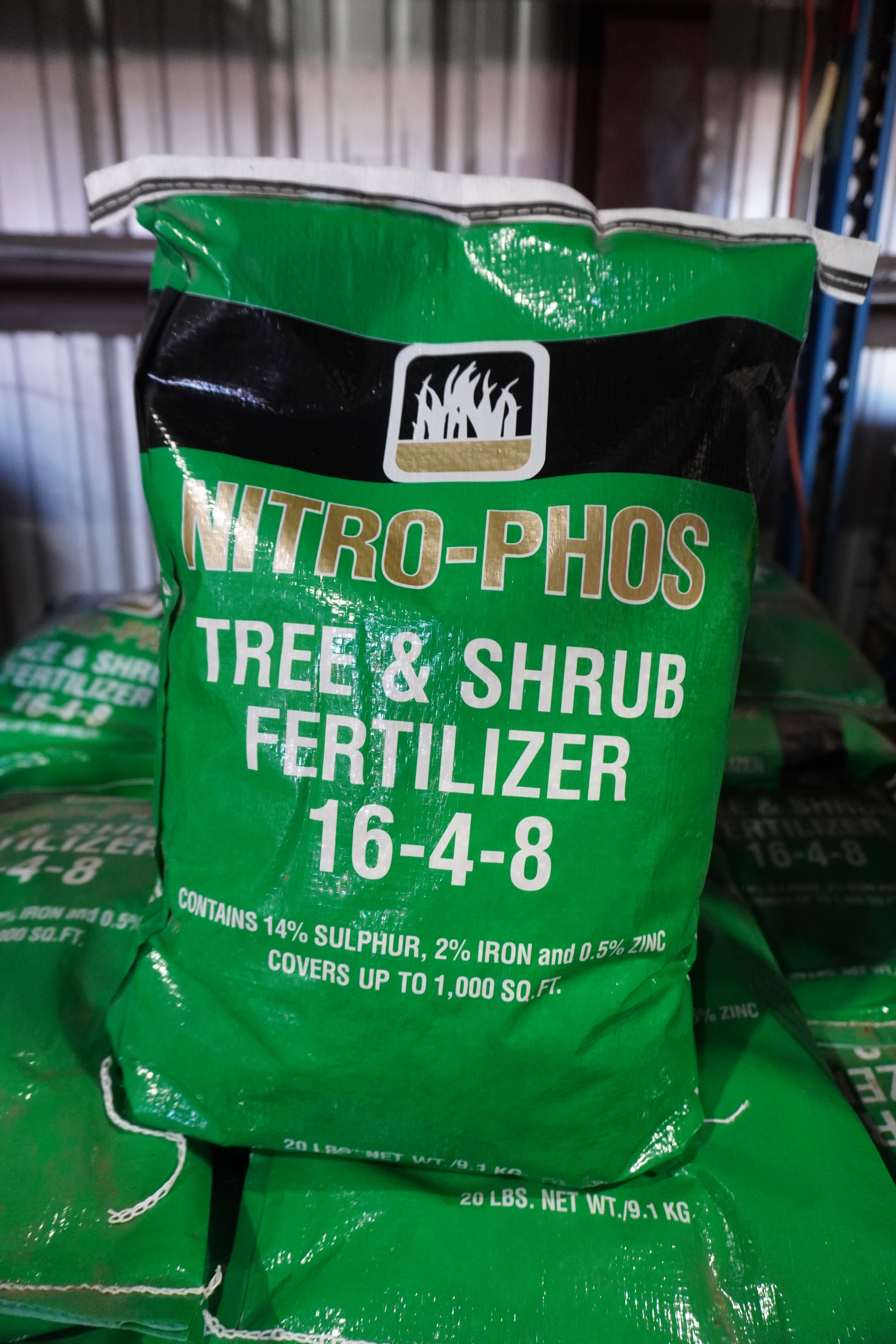 Tree & Shrub