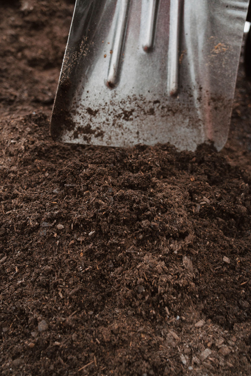 Mushroom Compost