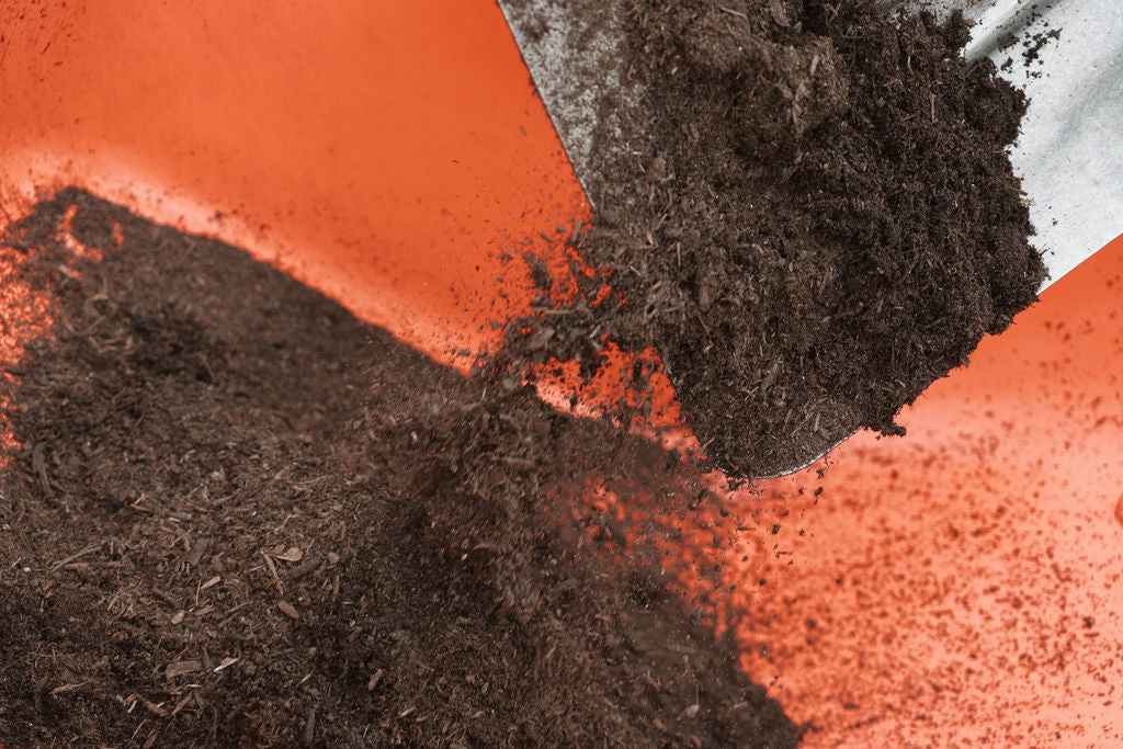 Organic Compost