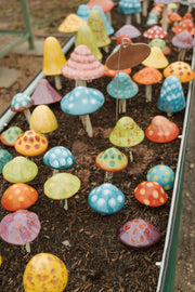 Shroomyz