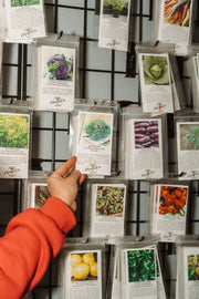 David's Garden Seeds