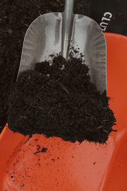 Black Mulch