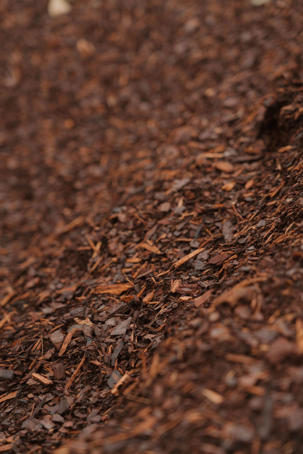 Pine Mulch