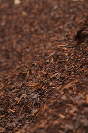 Pine Mulch