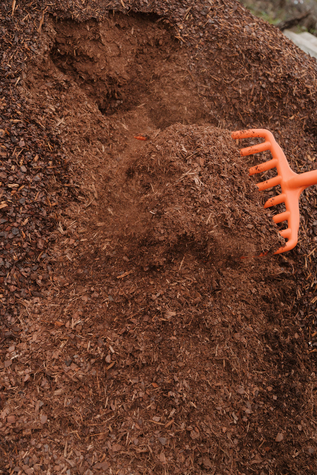 Pine Mulch