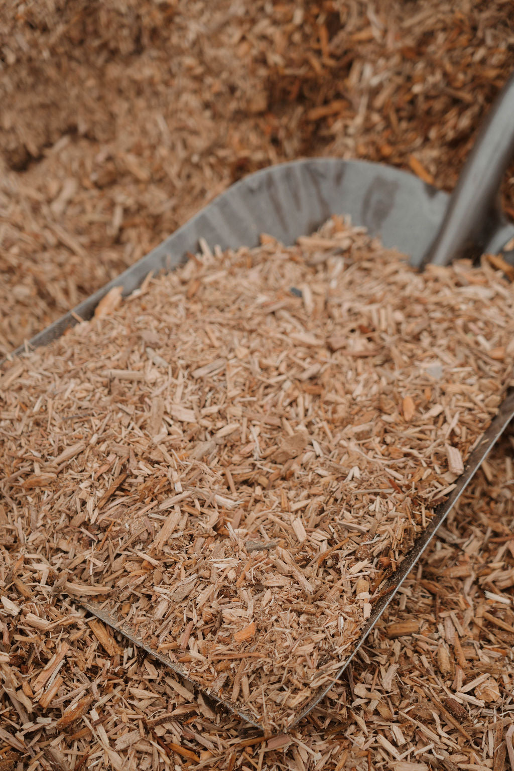 Kiddie Cushion Mulch