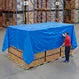 Tarp