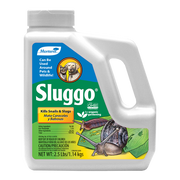 Monterey Sluggo
