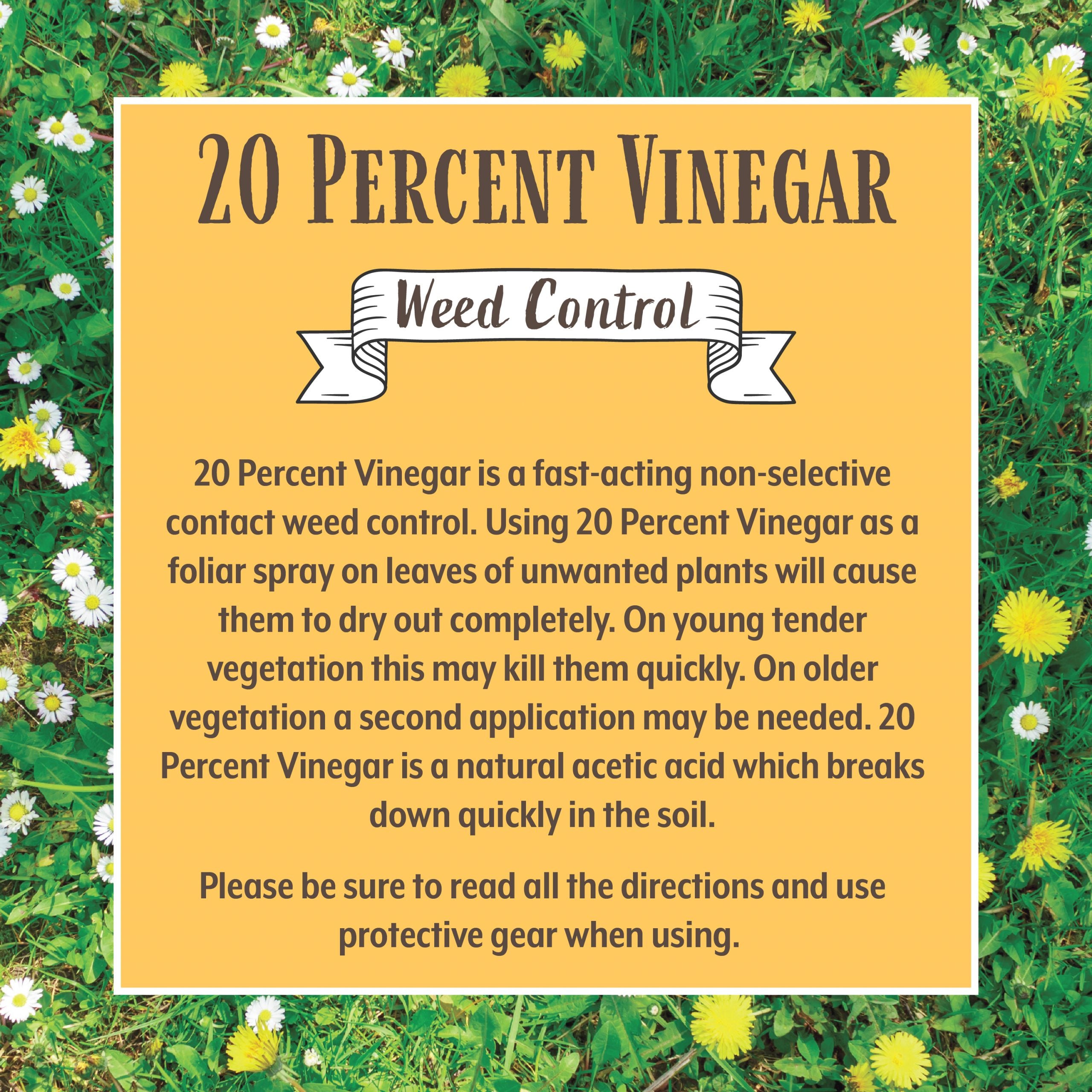 20% Vinegar