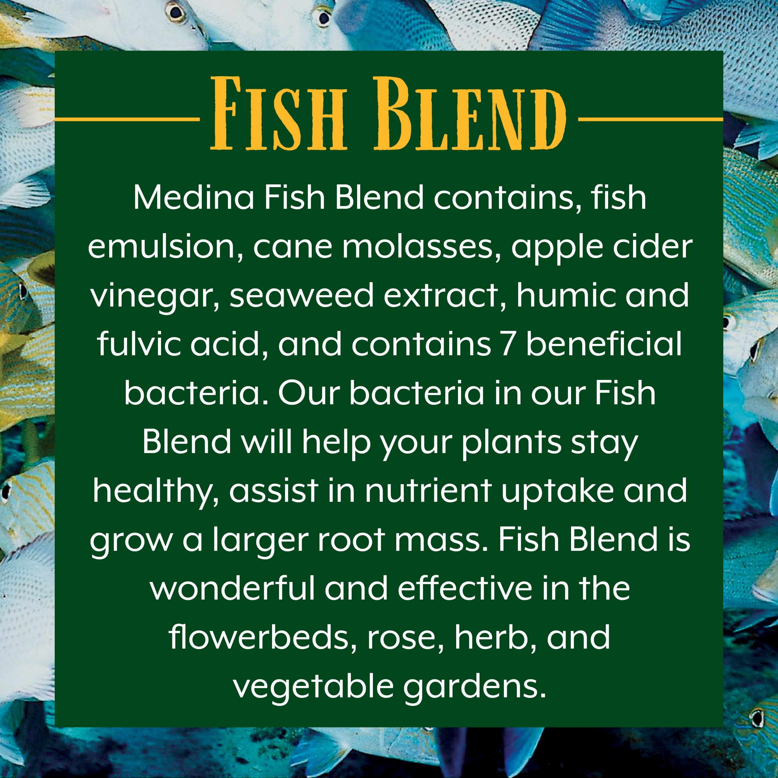 Fish Blend