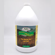 Molasses