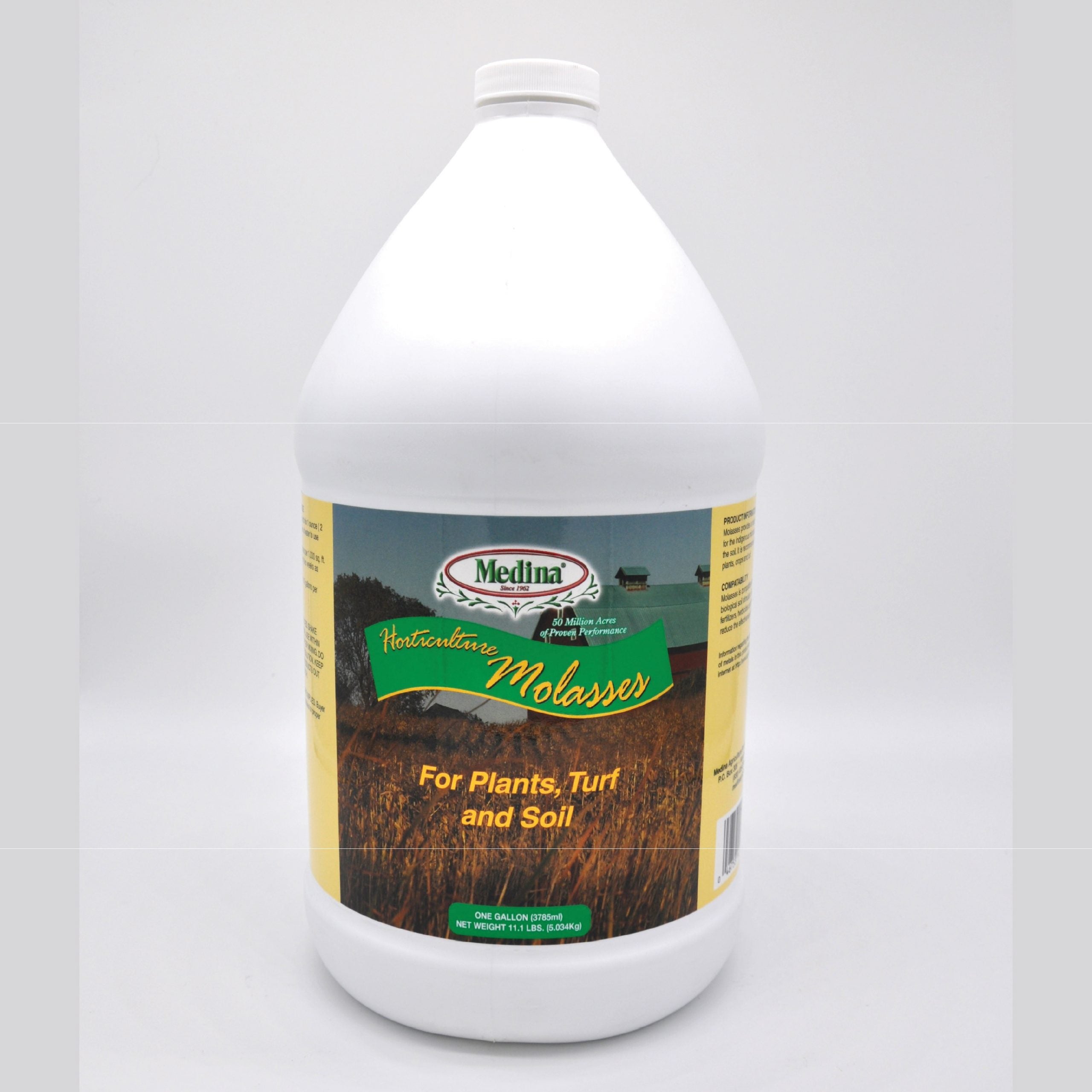 Molasses
