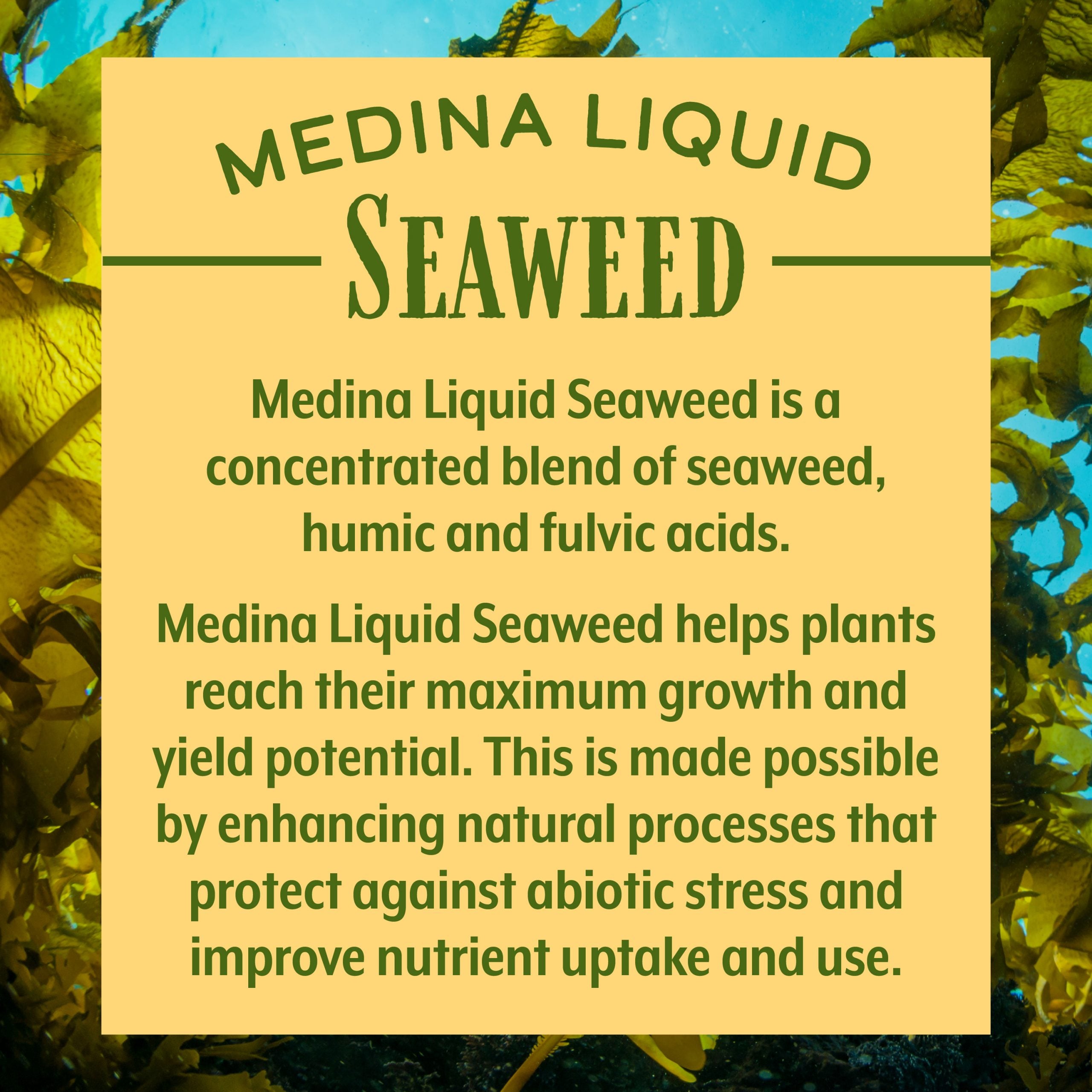 Liquid Seaweed