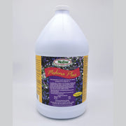 Medina Plus