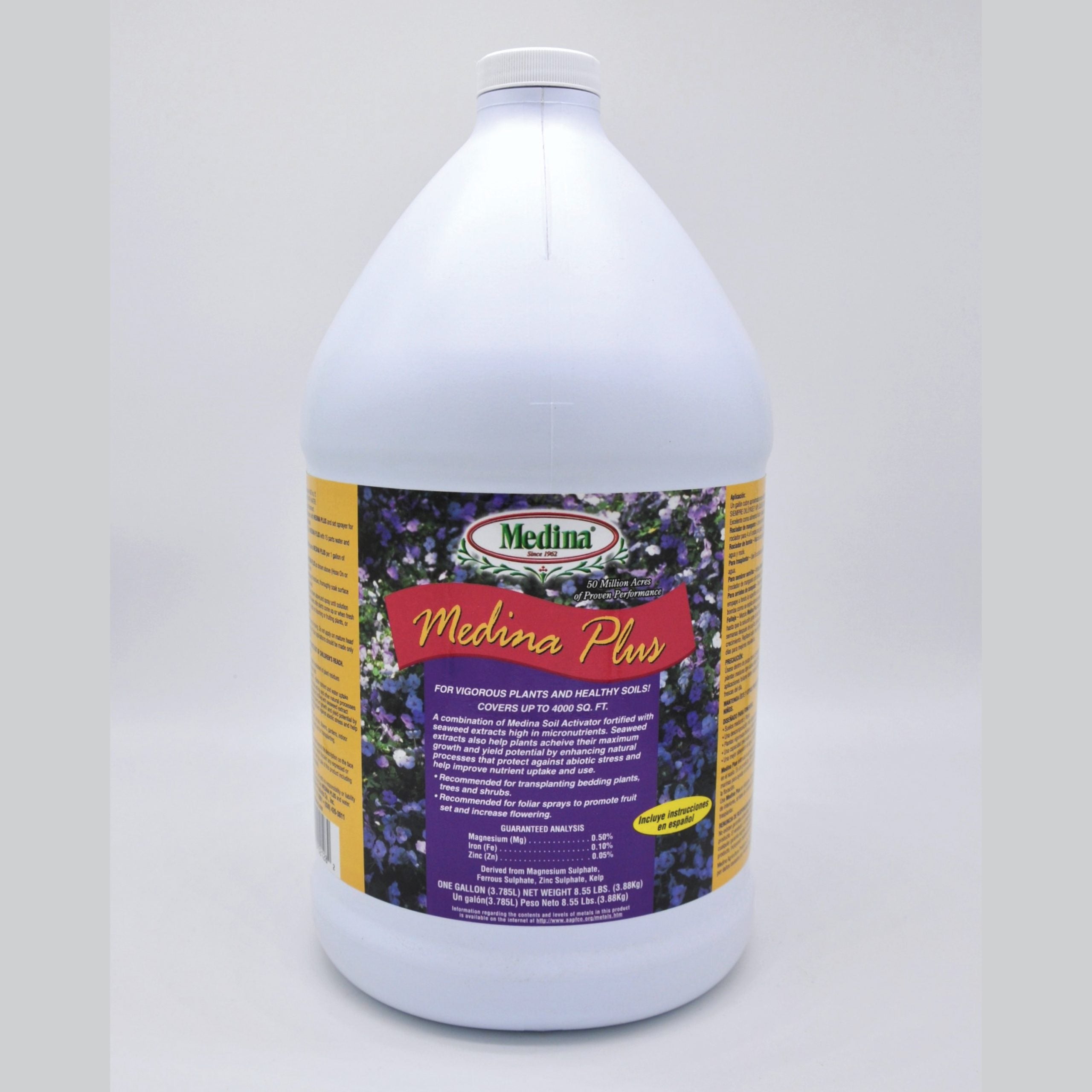 Medina Plus