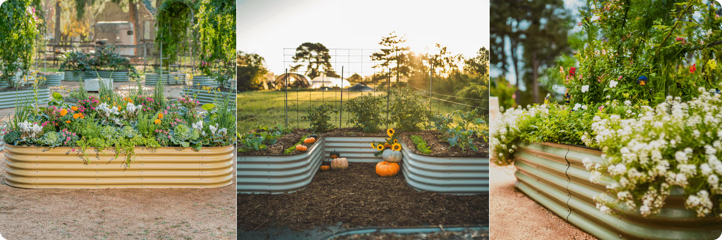 Vego Garden Beds