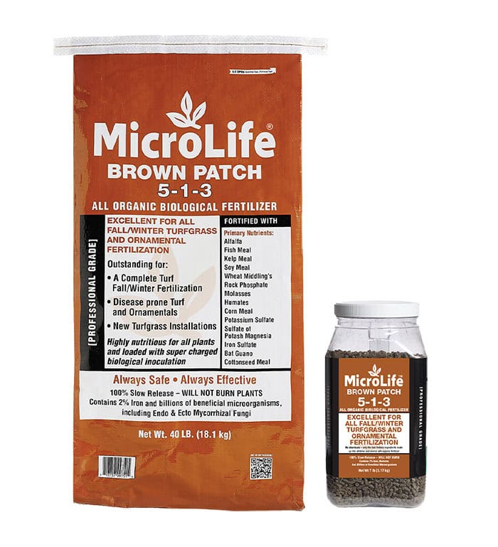 Brown Patch