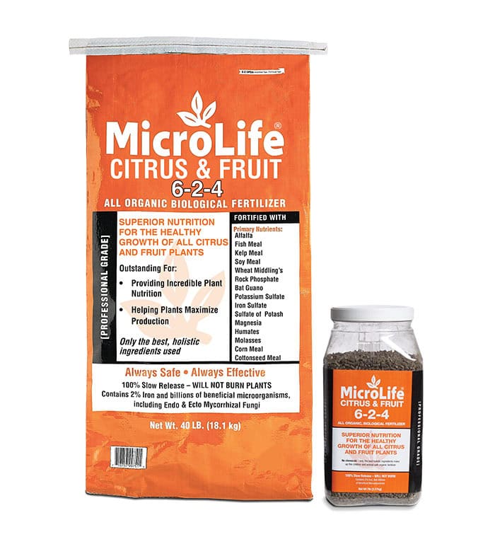 Citrus & Fruit
