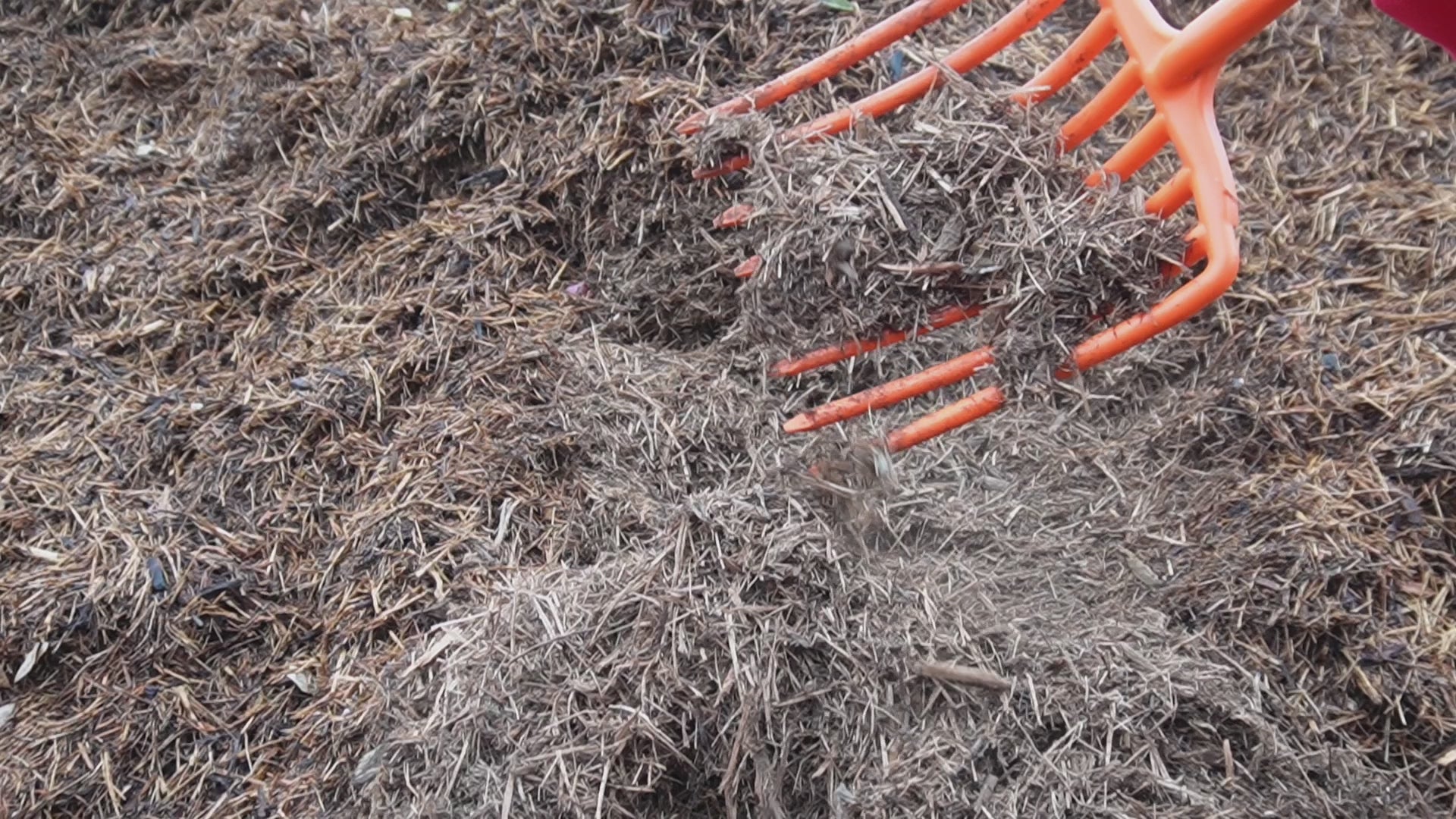 Load video: Cedar Mulch