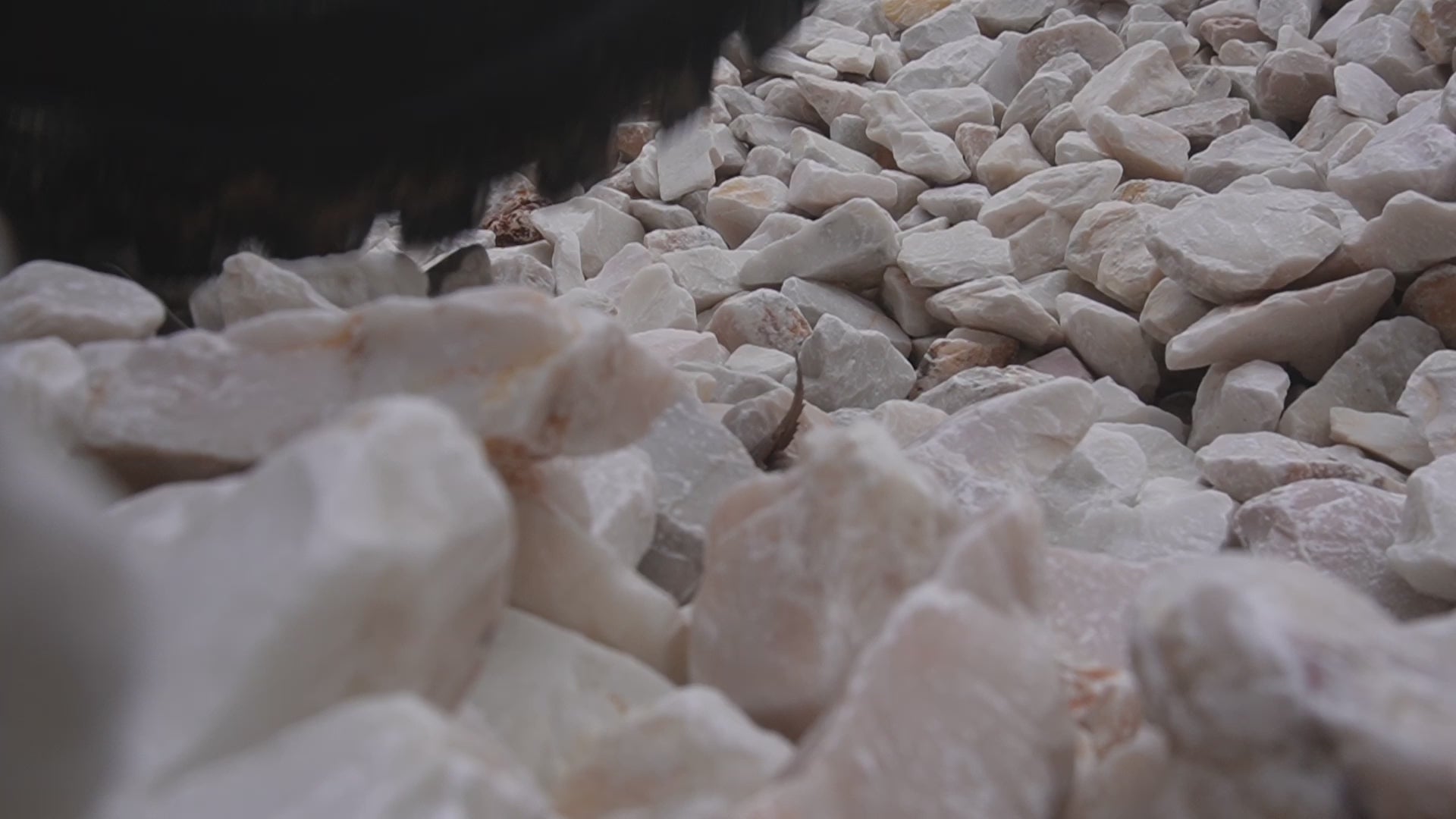 Load video: Marble