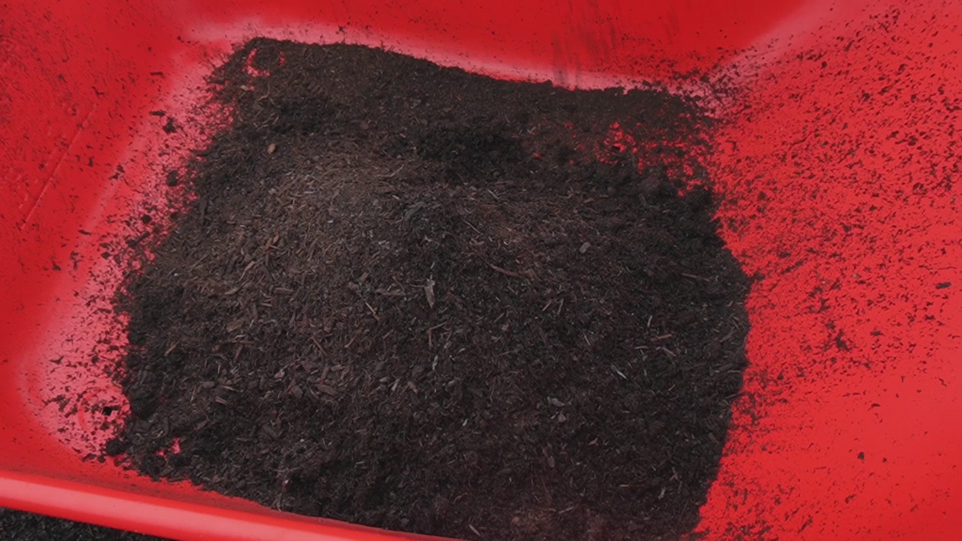 Load video: Heirloom Leaf Mold Compost