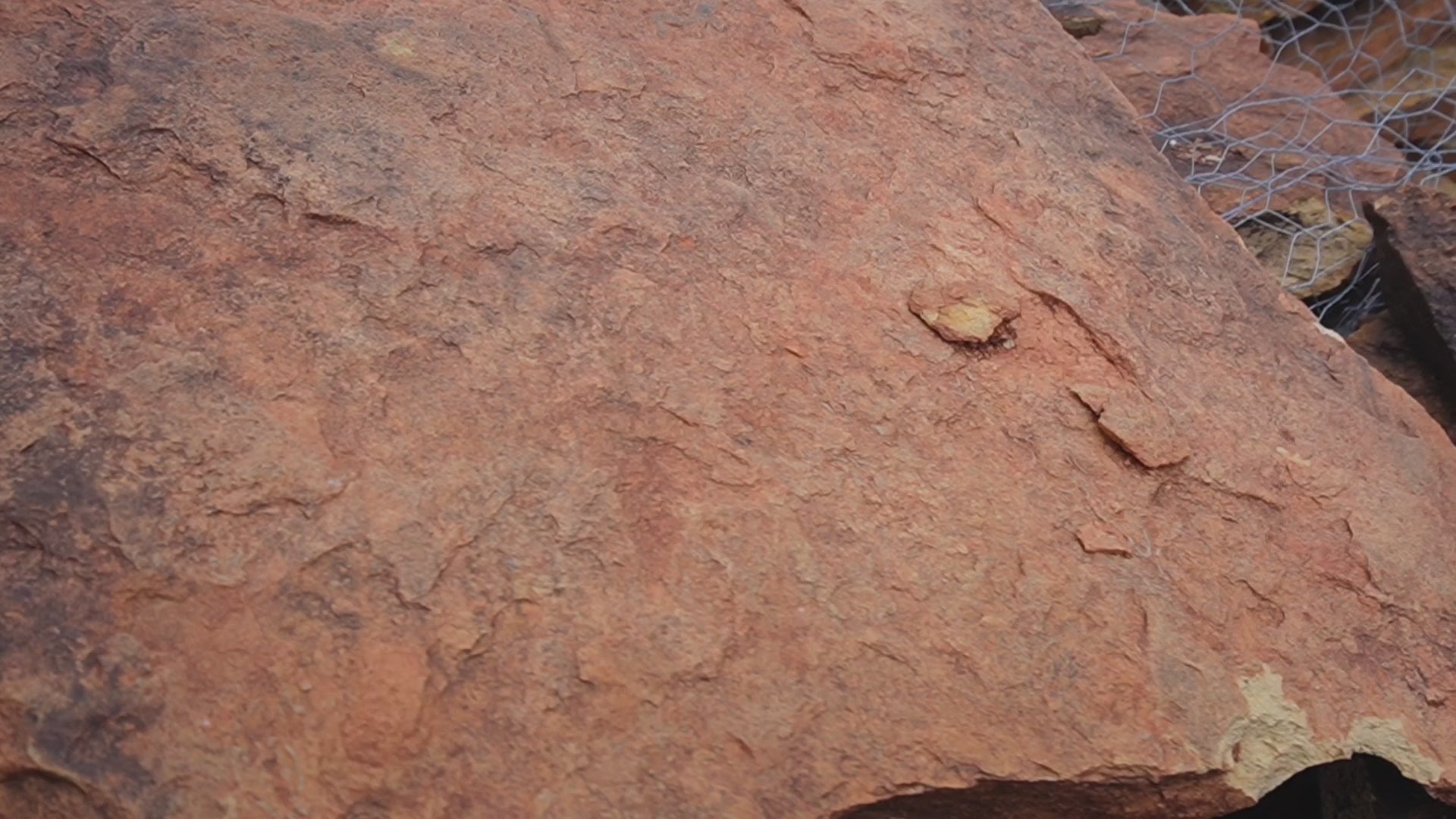 Load video: Corkstone Flagstone