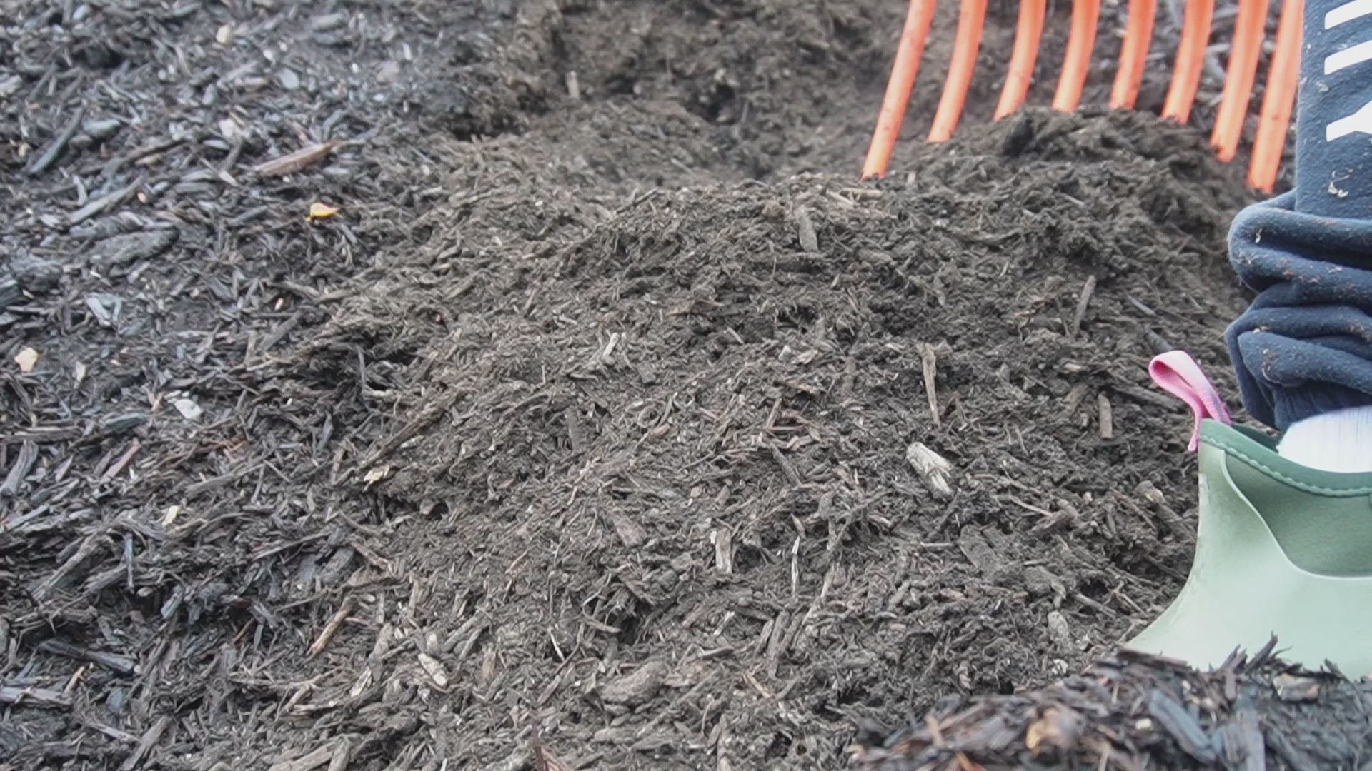 Load video: Black Velvet Mulch