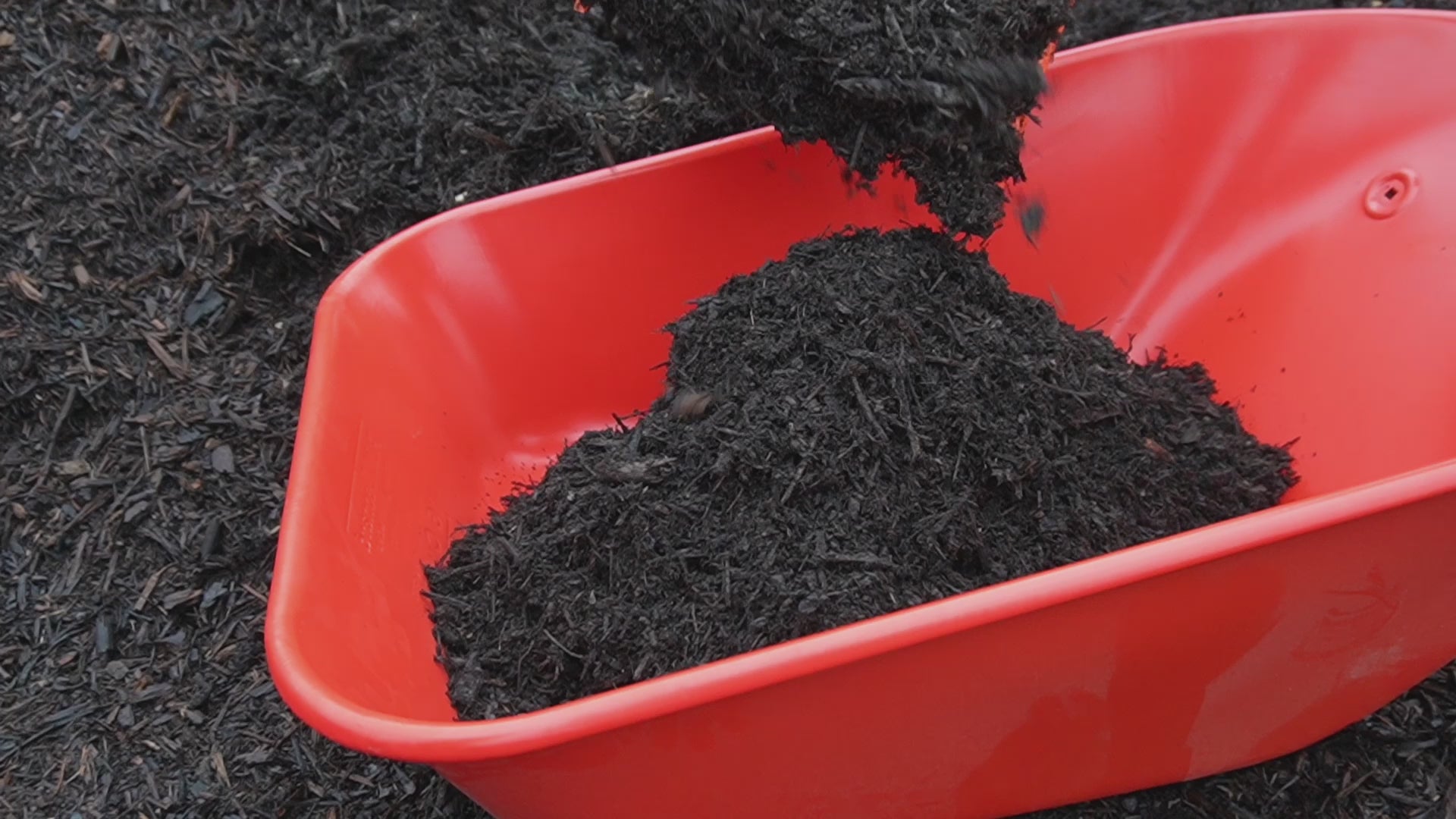 Load video: Black Mulch