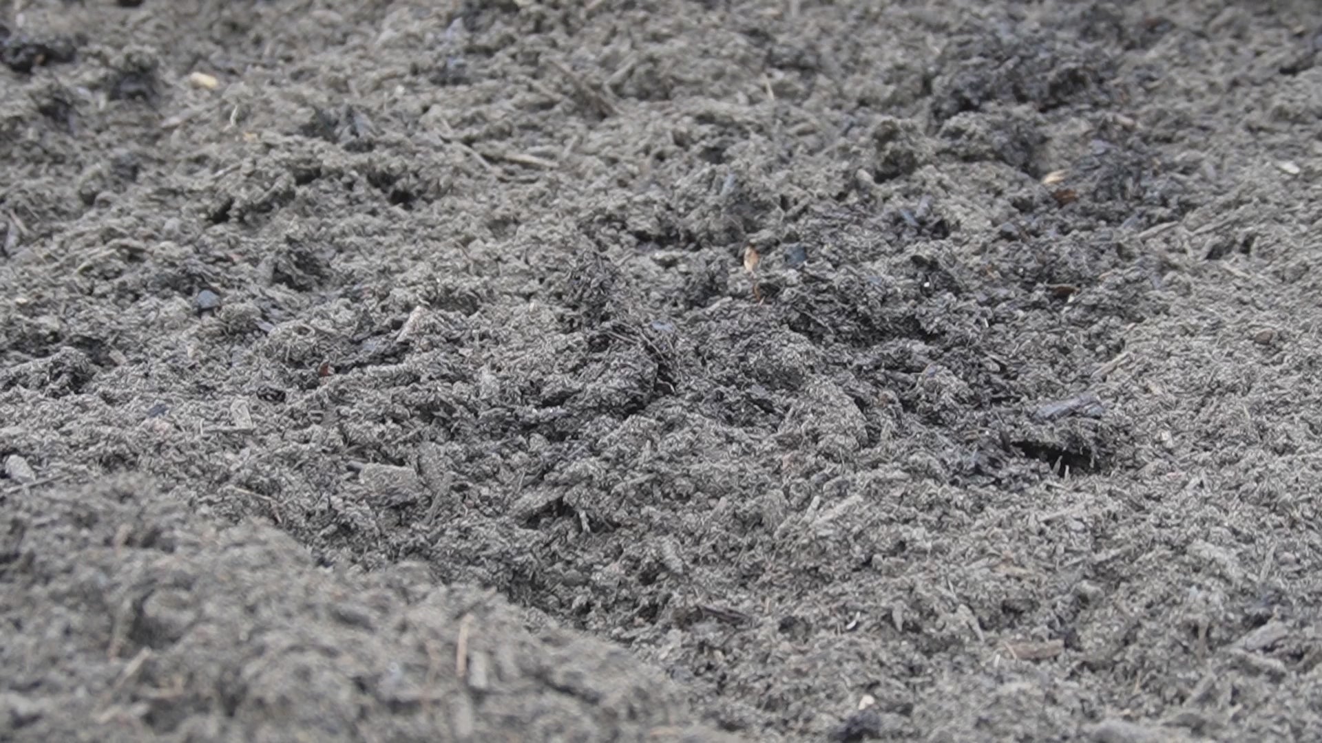 Load video: Mix Soil